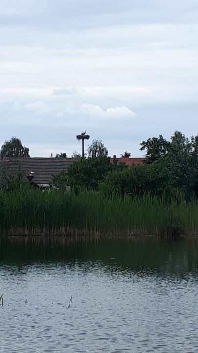 Ausblick Landhotel Borstel-Treff