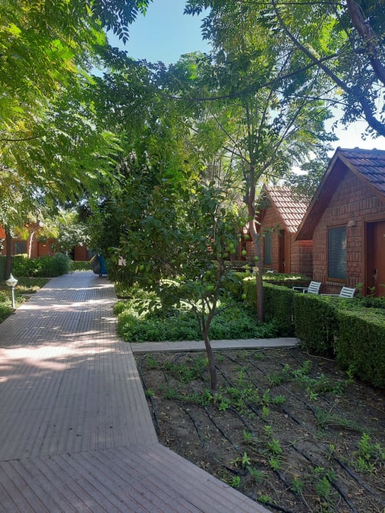 Gartenanlage Can Garden Beach