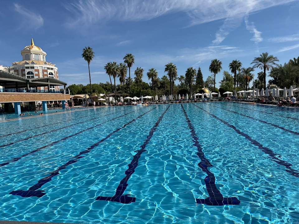 Pool Delphin BE Grand