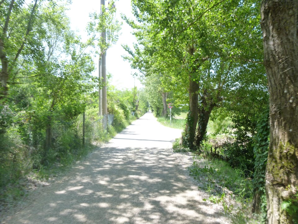 Radweg Richtung Meer Camping Village Marina di Venezia
