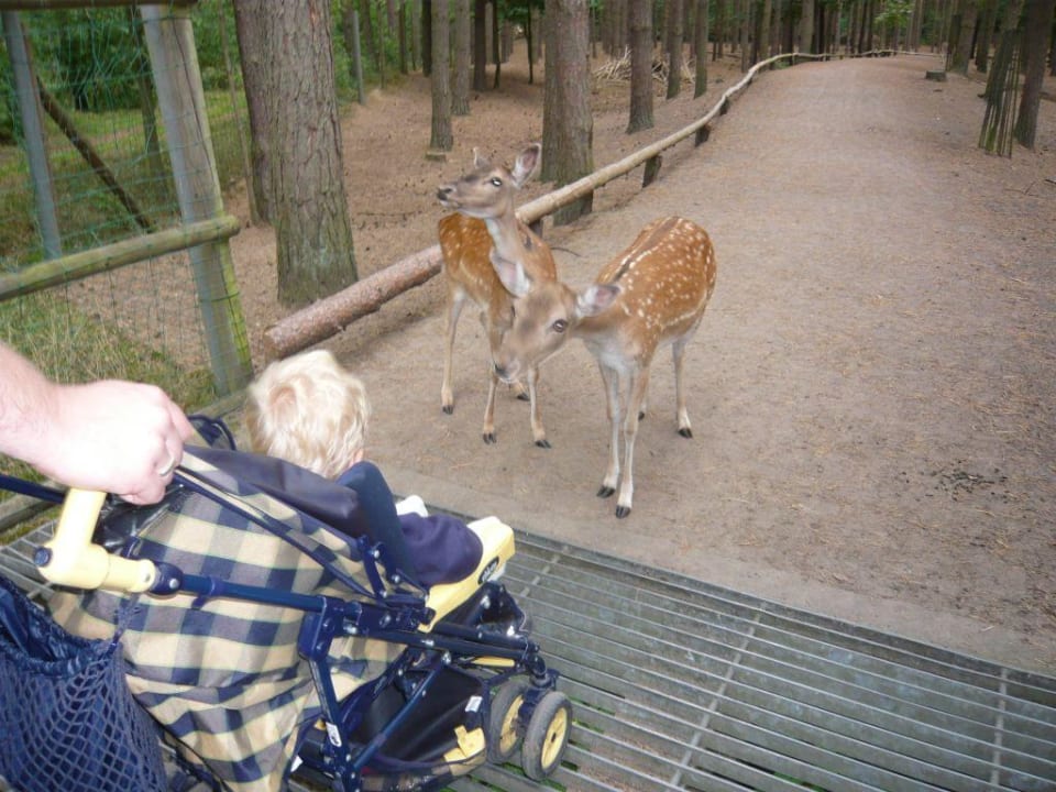 Hotel " Kleine Residenz am Tierpark" Hotel Kleine Residenz am Tierpark