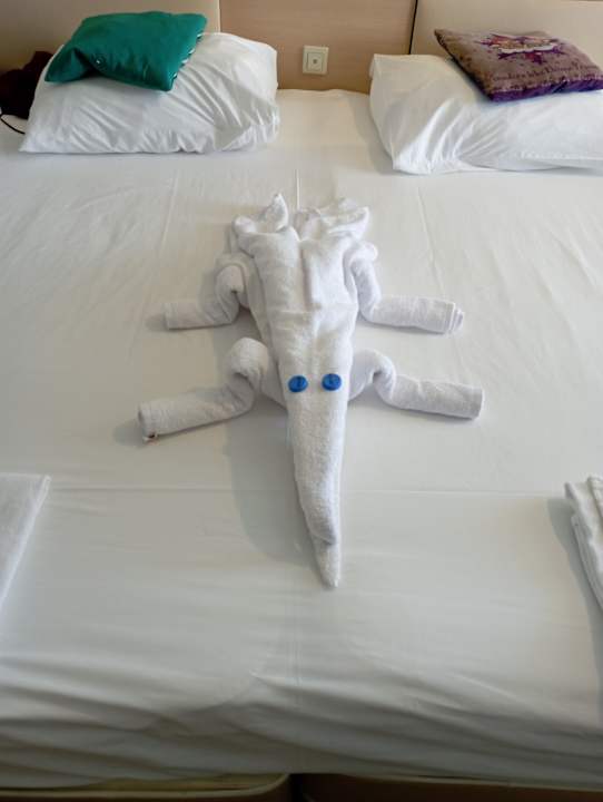 Zimmer Grand Belish Resort Hotel & Spa