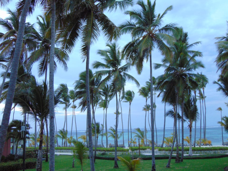 Ausblick Barceló Bávaro Palace