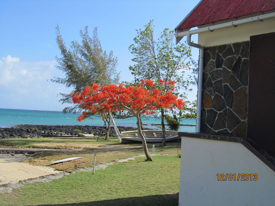 Traumhafte Postermotive Hotel Kuxville