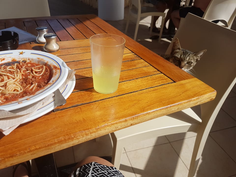 Gastro VOI Praia De Chaves Resort