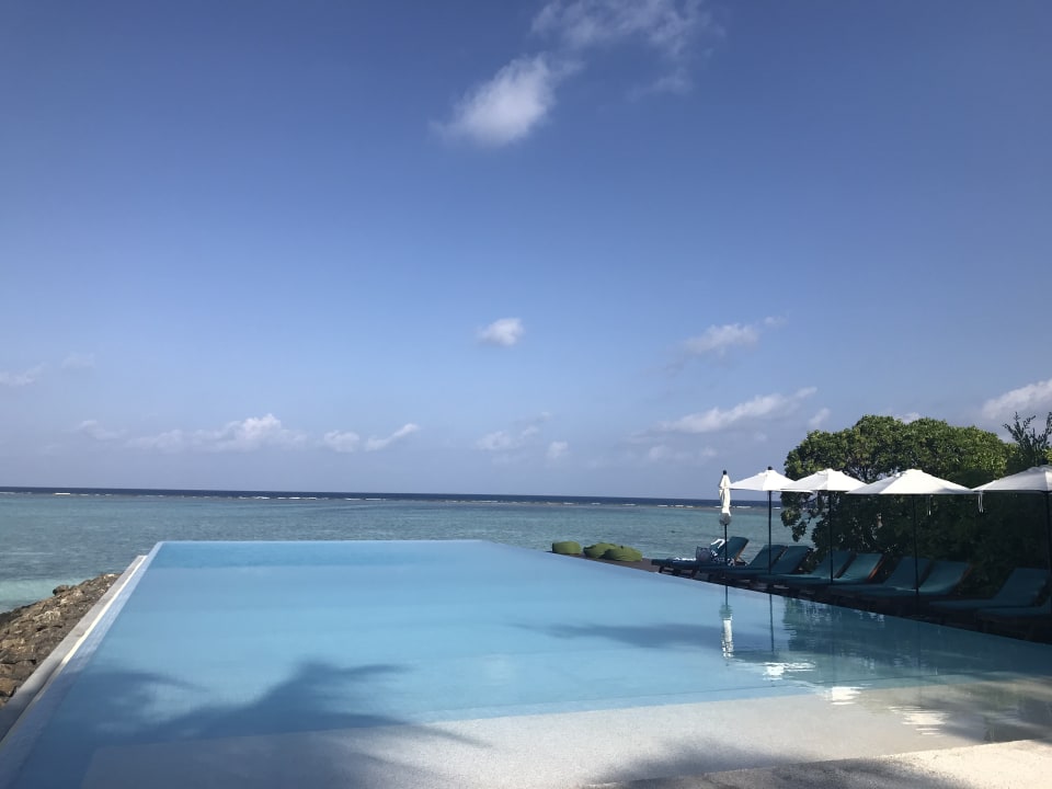 Pool Summer Island Maldives