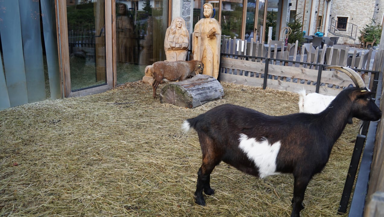 Sonstiges Dachsteinkönig - Familux Resort