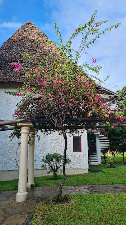 Gartenanlage Neptune Village Beach Resort & Spa