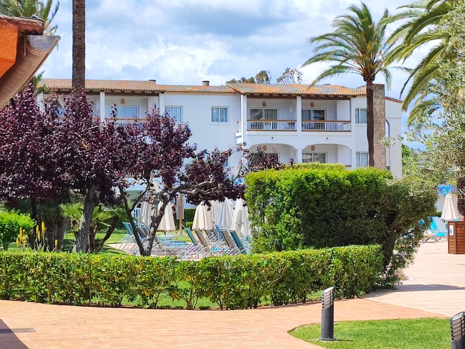 Außenansicht Alcudia Garden Aparthotel