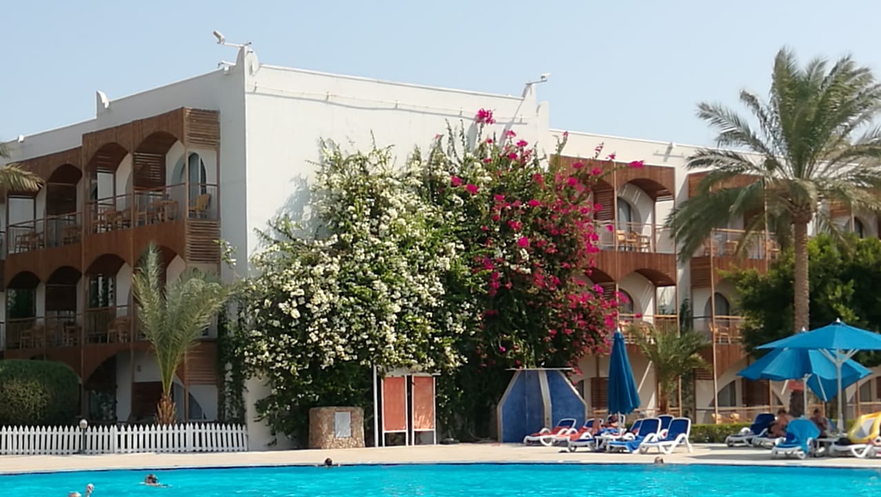 Ausblick Desert Rose