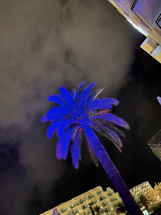 Gartenanlage allsun Hotel Bahia del Este