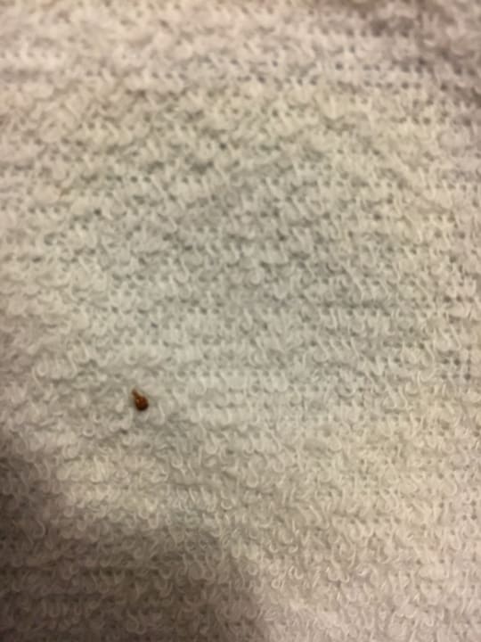 Zimmer Bahía de Alcúdia Hotel & Spa