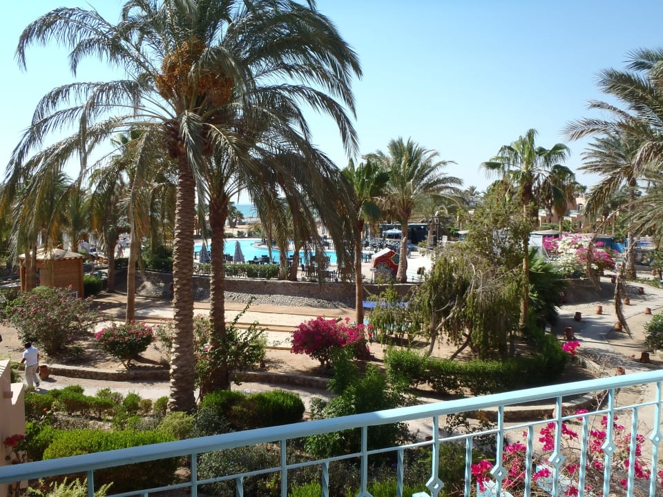 Widok z balkonu Club Paradisio El Gouna, Red Sea
