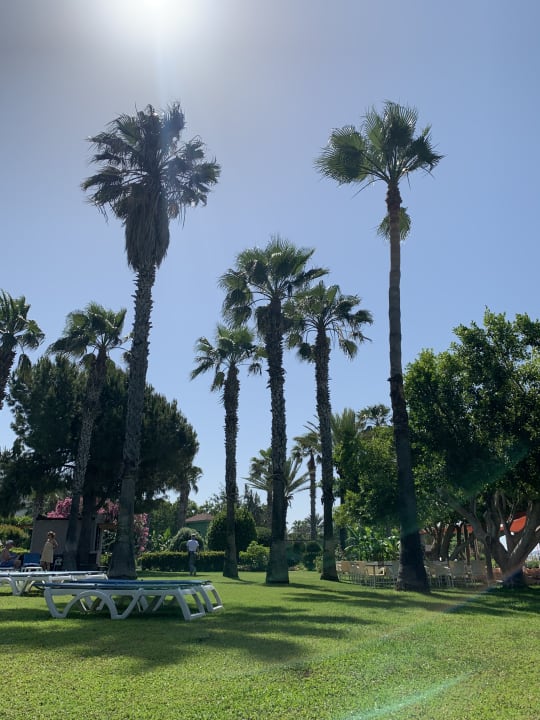 Gartenanlage Hotel Terrace Beach Resort