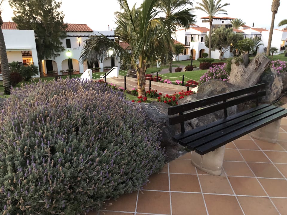 Gartenanlage TUI MAGIC LIFE Fuerteventura