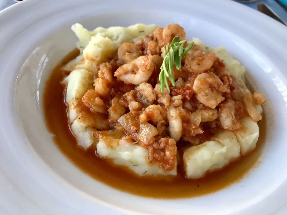 Gastro Acanthus Cennet Barut Collection