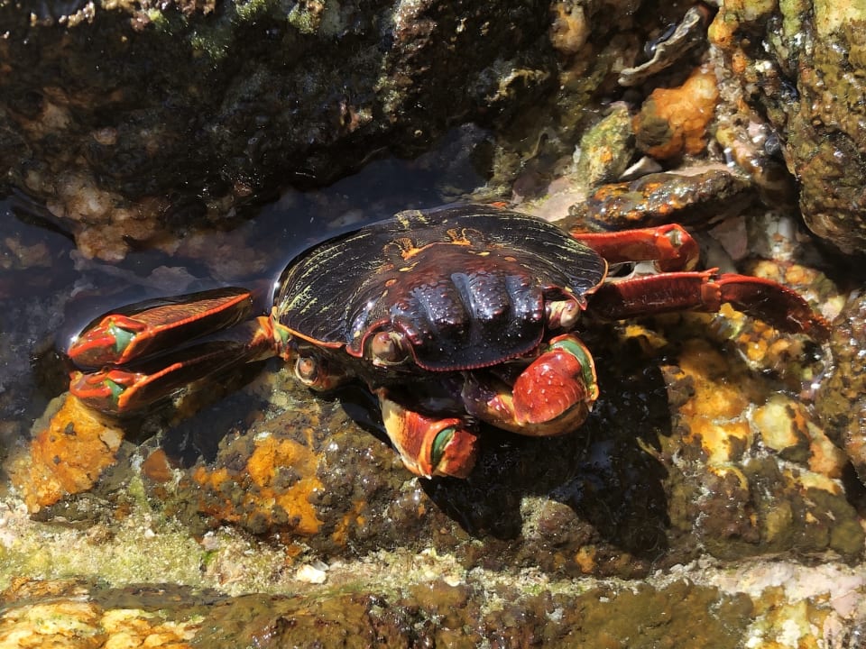 Strand Wyndham Garden Salalah Mirbat
