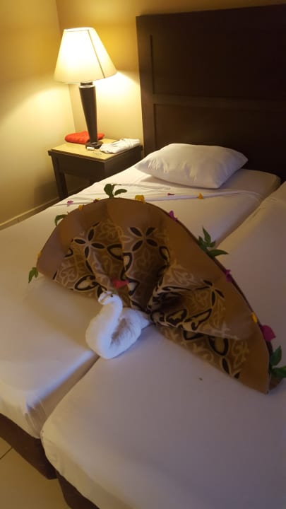 Zimmer Jaz Dar EL Madina