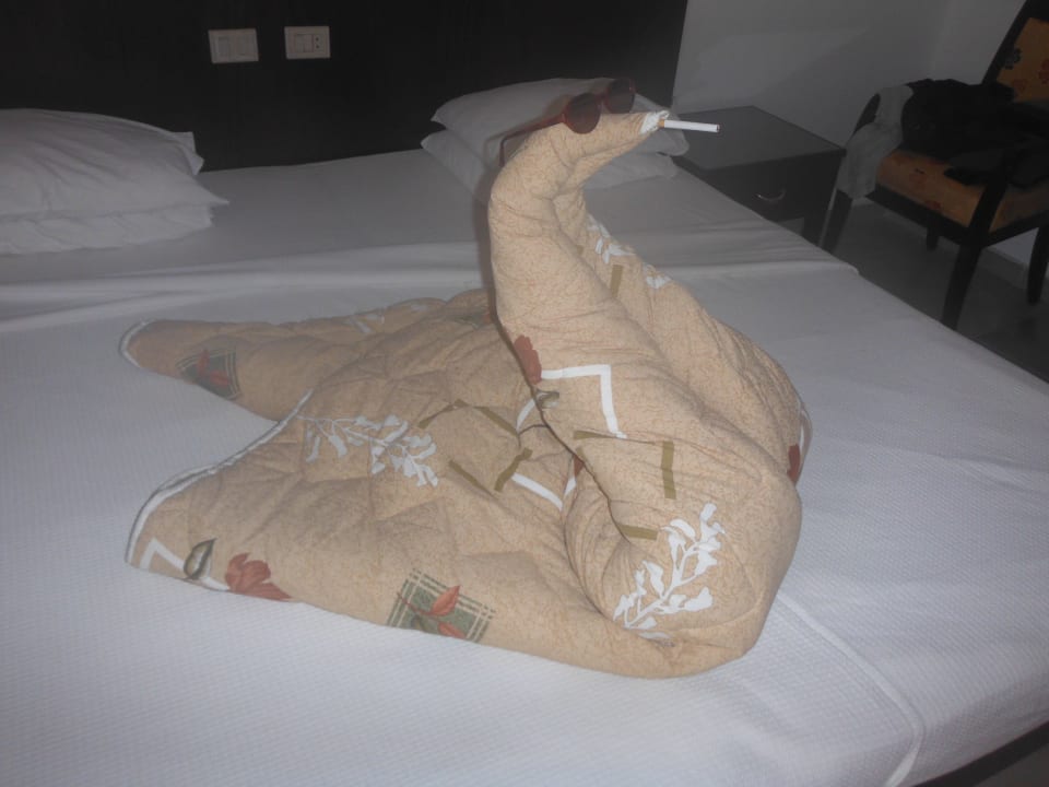 Nettes Haustier Menaville Safaga