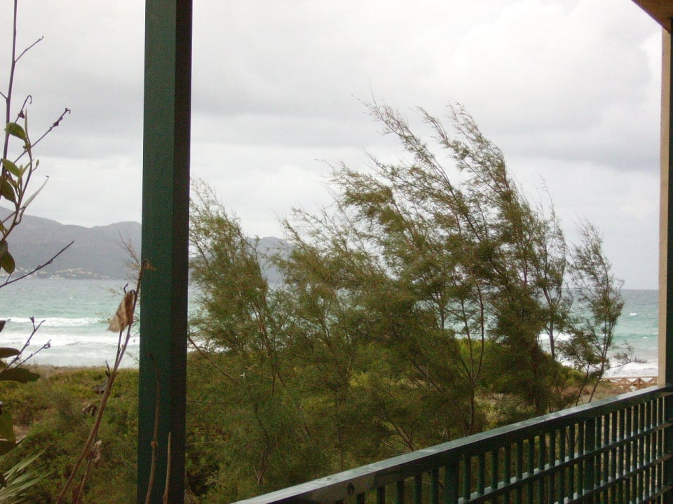 Vom Balkon Meerblick allsun Hotel Eden Playa