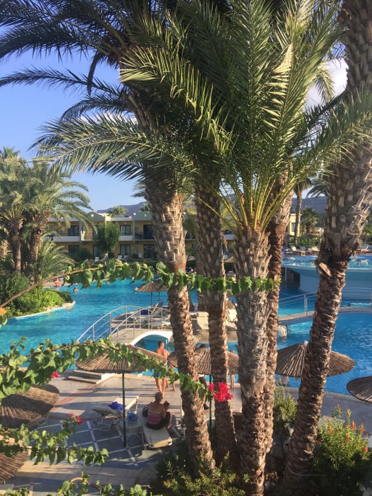 Gartenanlage Atrium Palace Thalasso Spa Resort & Villas