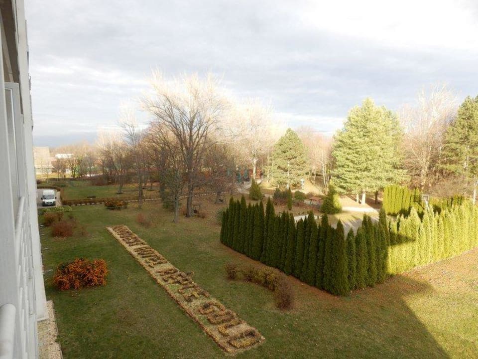 Repce Gold Hunguest Bük