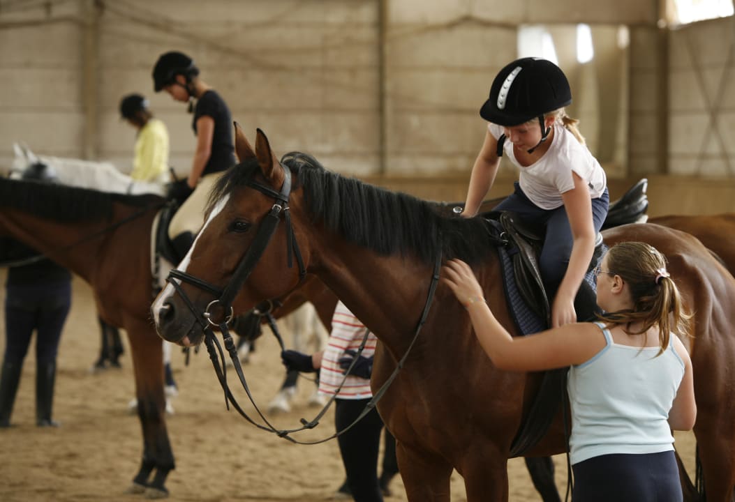 Reitunterricht in der gedeckten Reithalle Hotel Höldrichsmühle