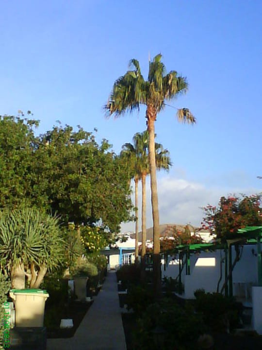 Weg zum Studio Hotel Hyde Park Lane