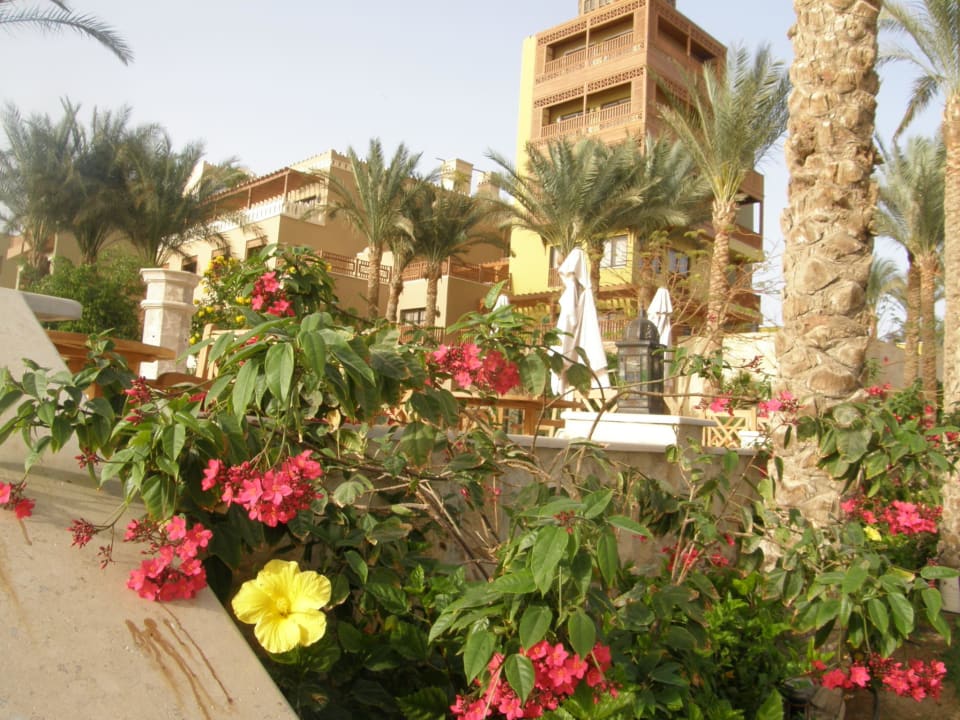 Zahrada Makadi Spa - Adults only