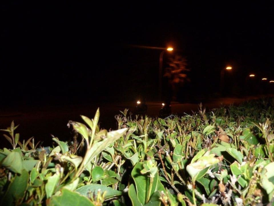 Nächtliche Rennen mit Maschinen  Diamond Deluxe Hotel & SPA