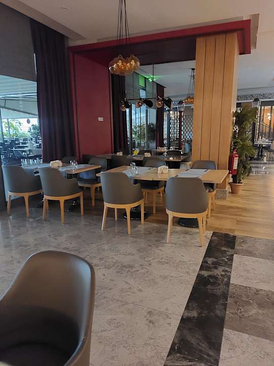 Gastro Seashell Vega