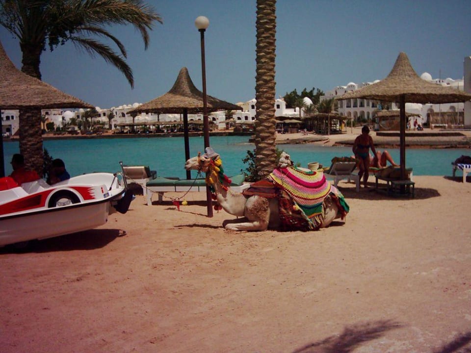 Transportmittel Bel Air Azur Resort - Adults only