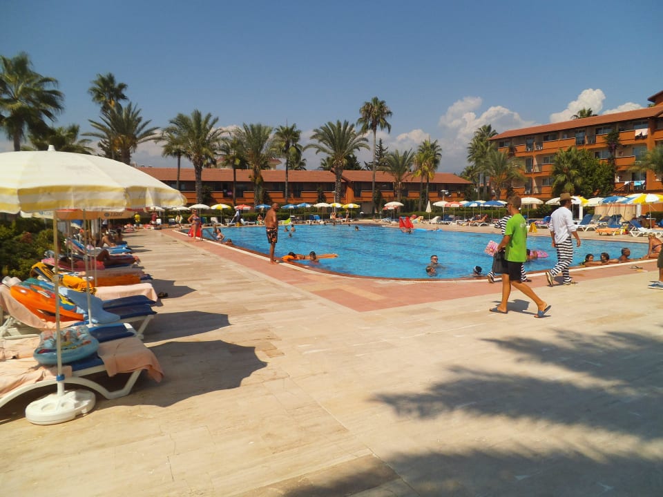 Animations Pool Club Turtas Beach Hotel