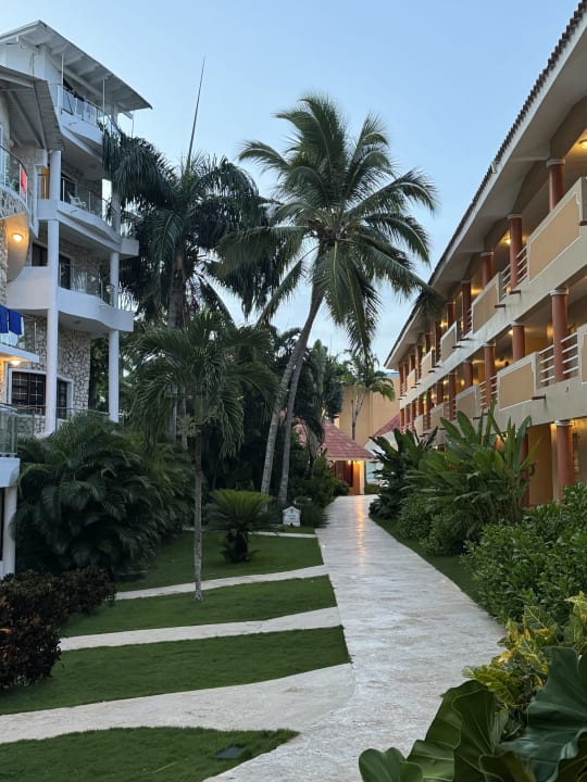 Gartenanlage Hotel Viva Dominicus Palace by Wyndham-All Inclusive Resort