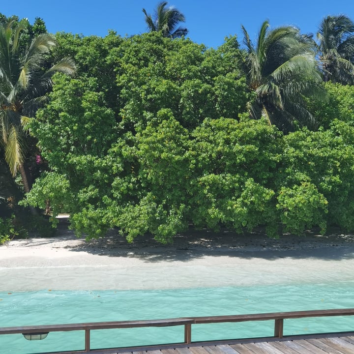 Strand Kuramathi Maldives
