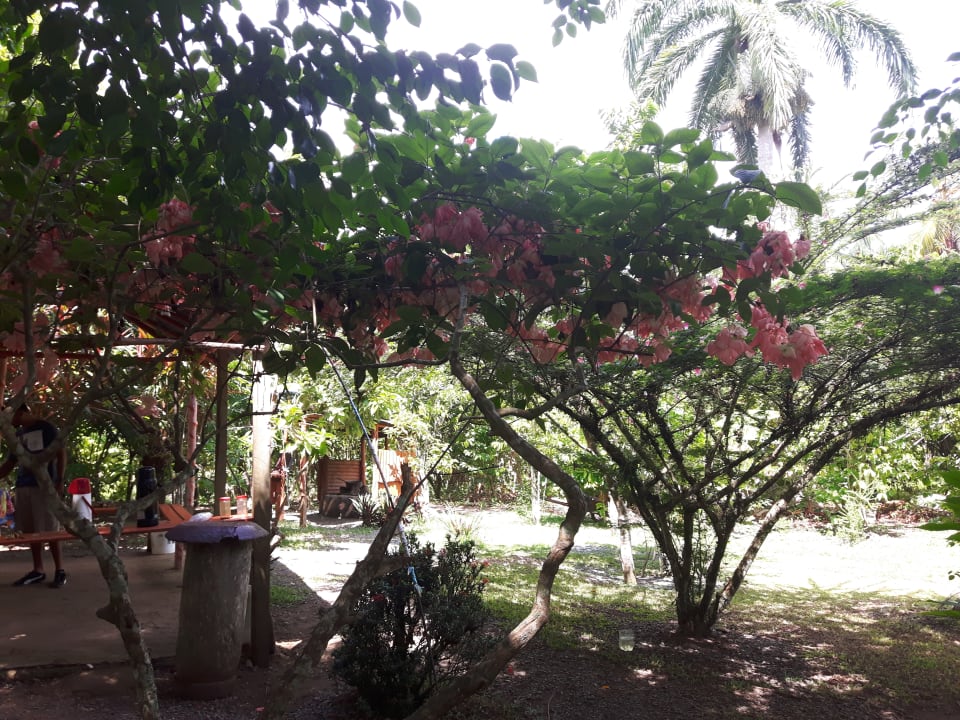 Gartenanlage Hotel Grand Palladium Palace Resort, Spa & Casino