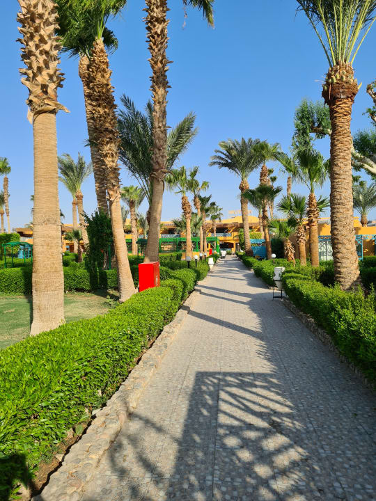 Gartenanlage Giftun Azur Resort