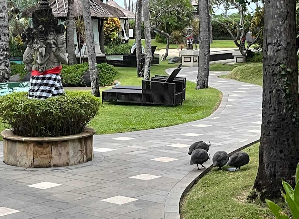 Gartenanlage The Laguna A Luxury Collection Resort & Spa