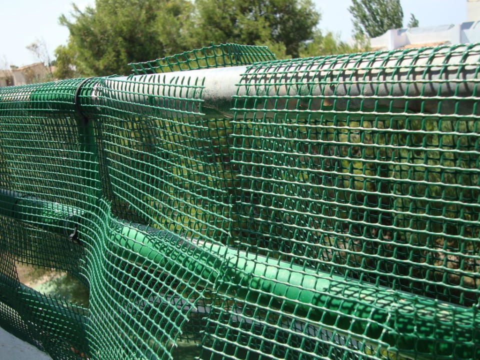 Schöner Balkon BJ Apartamentos Europa