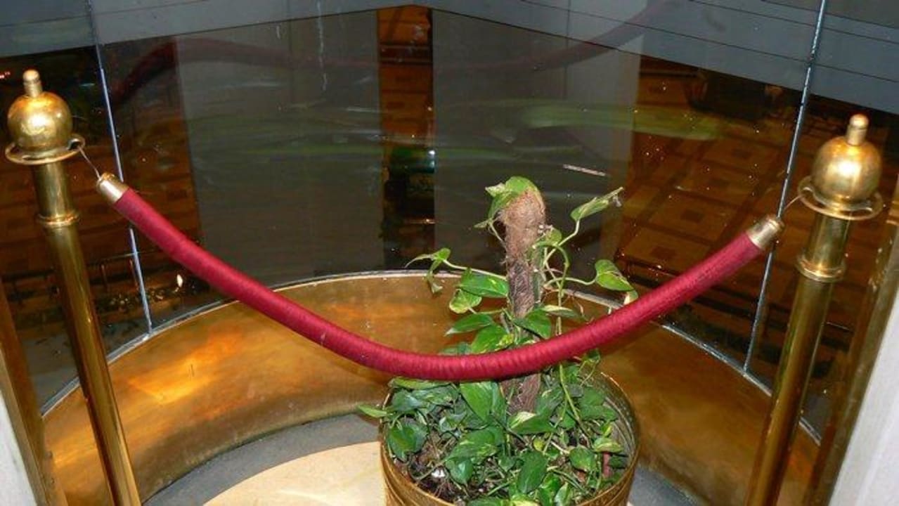 Wnętrze windy Dexon Roma Hotel