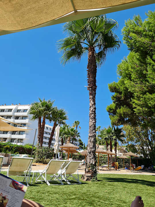 Gartenanlage allsun Hotel Eden Alcudia