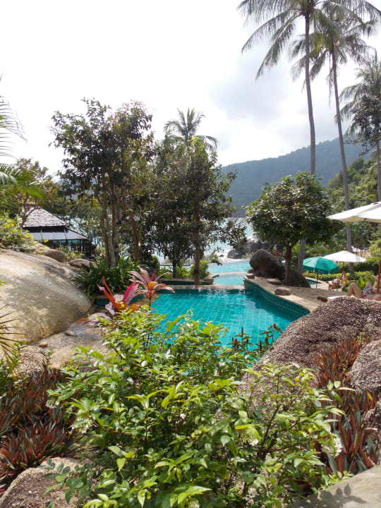 Pool Panviman Resort Koh Phangan