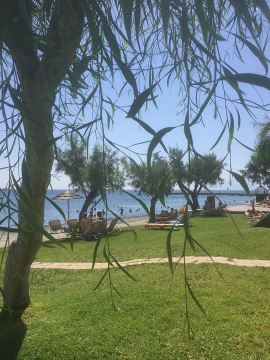 Strand TUI BLUE Oceanis Beach and Spa Resort