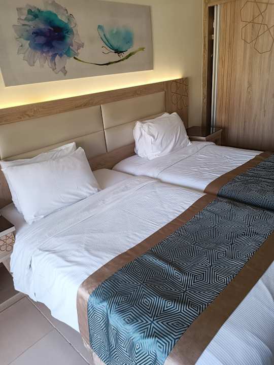 Zimmer Beach Albatros Resort