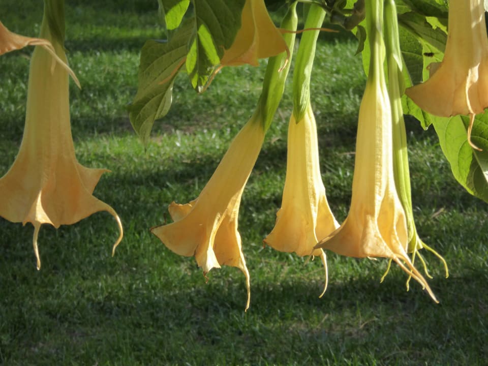 Hotel Porto Bay Falésia  PortoBay Falésia