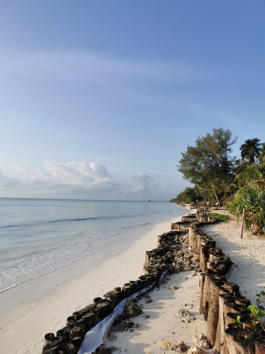 Strand TUI Blue Bahari Zanzibar