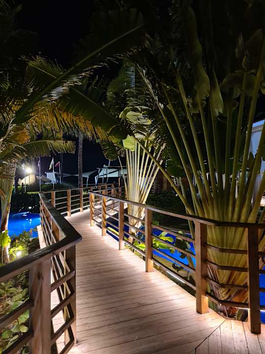 Gartenanlage Dreams Flora Resort & Spa - All Inclusive
