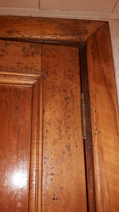 Zimmer Hotel Brisas del Caribe