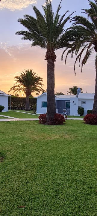 Gartenanlage Canary Garden Club