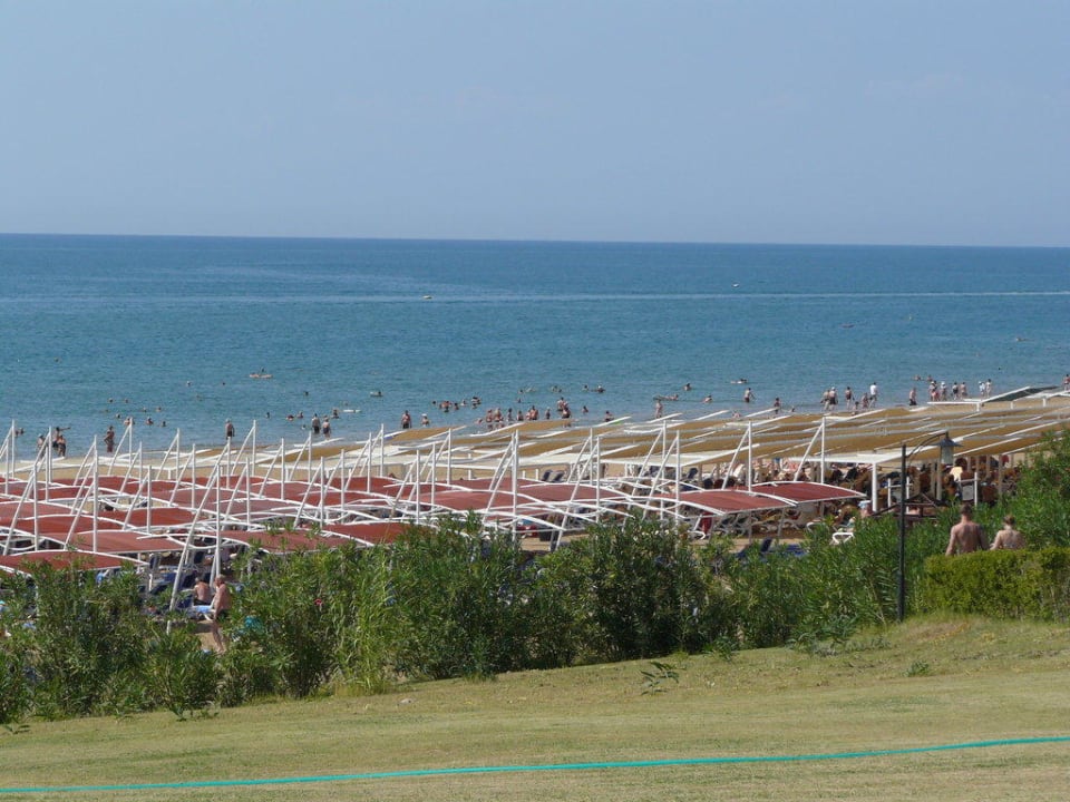 Blick auf den Strand Alba Queen Hotel
